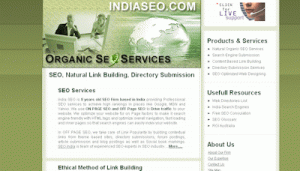 IndiaSEO.com Search Engine Optimization Company India