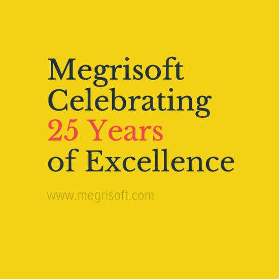 Megrisoft celebrates 25th anniversary
