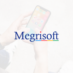 megrisoft